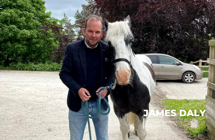 James Daly Riding School